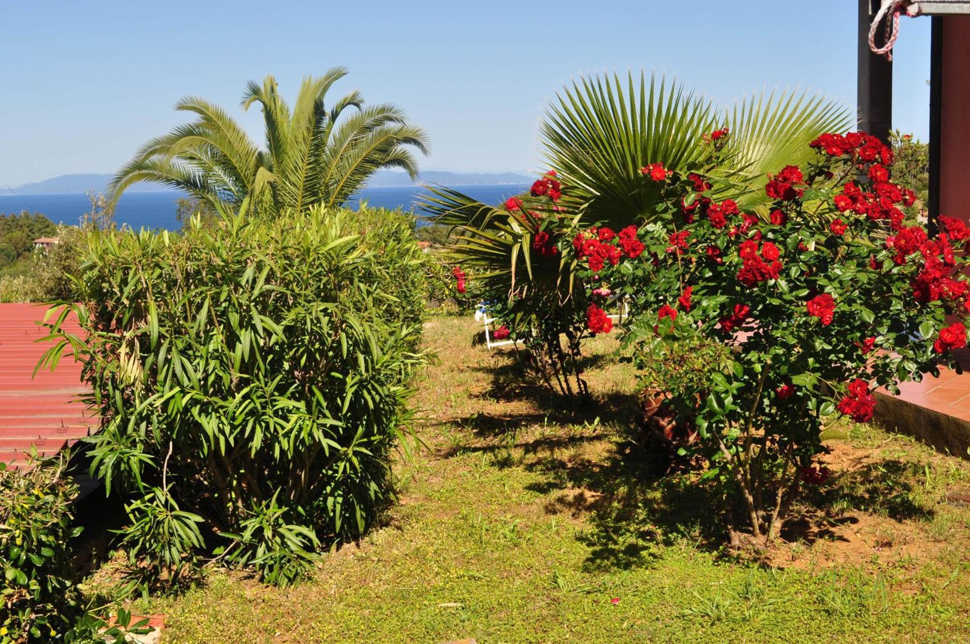 Residence Belvedere Capoliveri  Εξωτερικό φωτογραφία